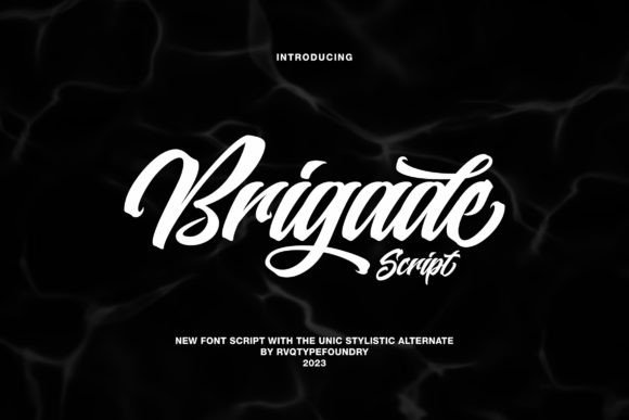 Brigade Script: A Versatile Tool for Creative and Professional Workflows