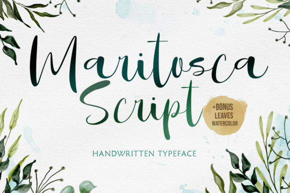 Discover the Elegance of Maritosca Script: A Font That Elevates Design and Communication