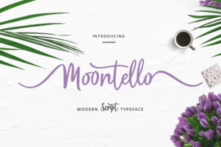 Exploring the Artistry of Moontello Script in Modern Design